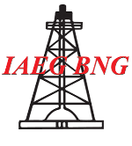 Bangladesh National Group of IAEG logo